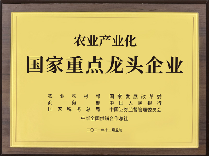 国家重点龙头企业2021年